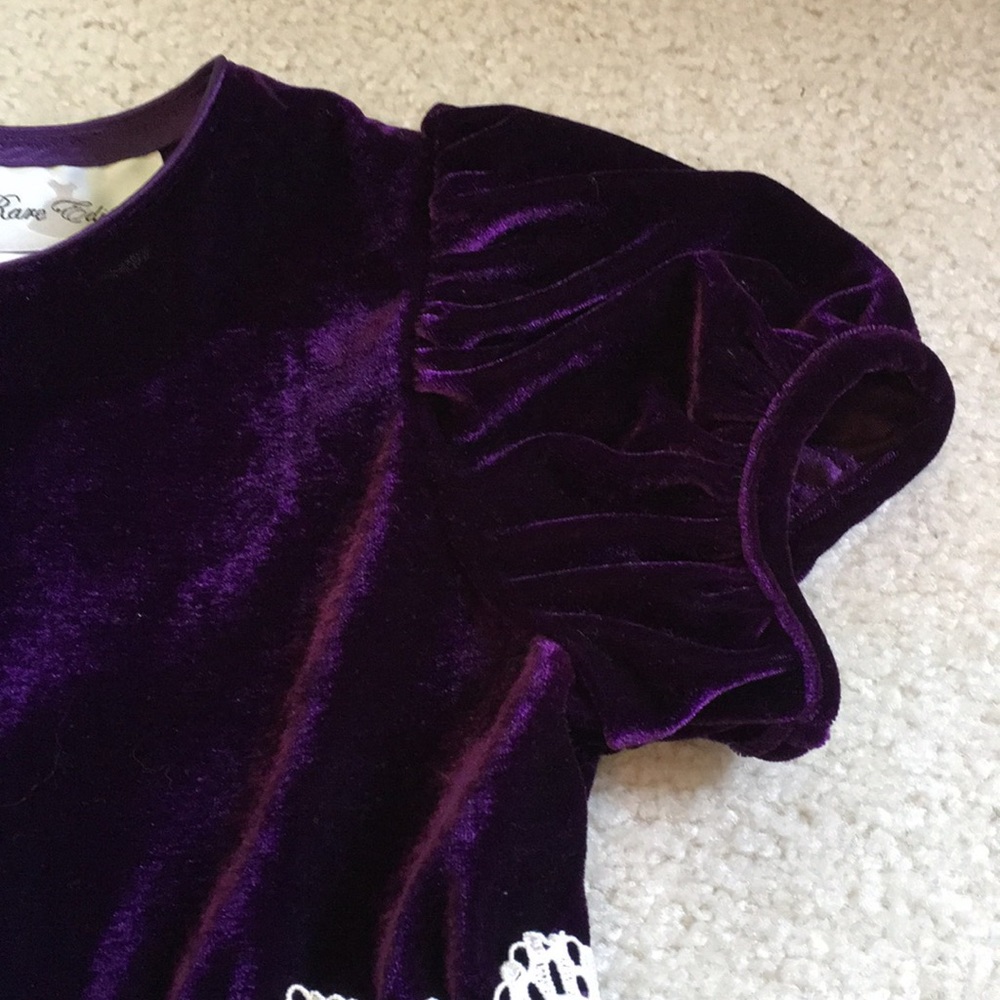 ✨HP✨ EUC gorgeous Rare Editions velvet dress - Picture 3 of 8